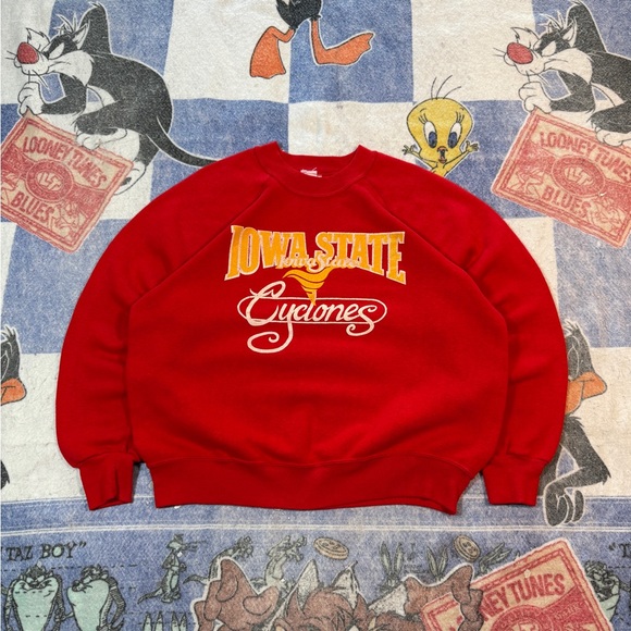 Vintage Iowa state crewneck sweatshirt - Picture 1 of 5